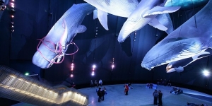 STRALSUND OCEANARIUM